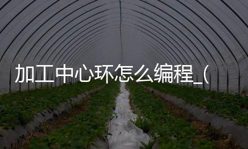 加工中心环怎么编程_(加工中心环怎么编程图解)