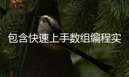 包含快速上手数组编程实例的词条