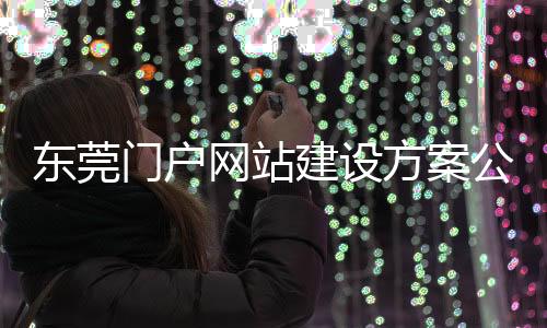 东莞门户网站建设方案公司（东莞网站建设公司排名）