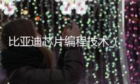比亚迪芯片编程技术_(比亚迪芯片设计岗位怎么样) 