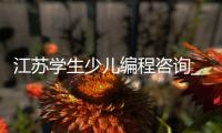 江苏学生少儿编程咨询_(淮安少儿编程培训班费用) 