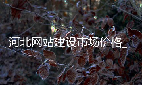 河北网站建设市场价格_(河北网站建设公司哪家好)